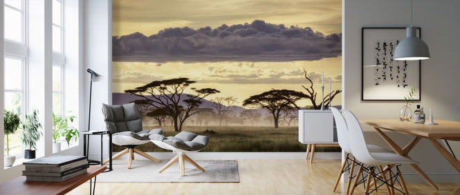 PHOTOWALL / Good Evening Tanazania (e317763)