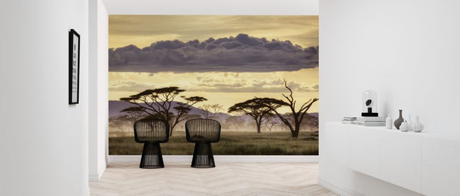 PHOTOWALL / Good Evening Tanazania (e317763)