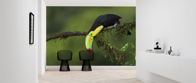 PHOTOWALL / Colors of Costa Rica (e317775)