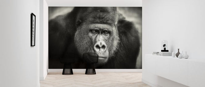 PHOTOWALL / Little Smile (e317777)