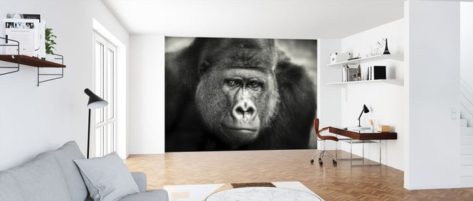 PHOTOWALL / Little Smile (e317777)