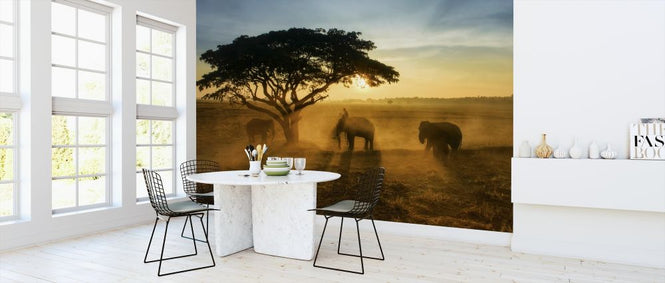 PHOTOWALL / Morning Elephant Home Town (e317778)