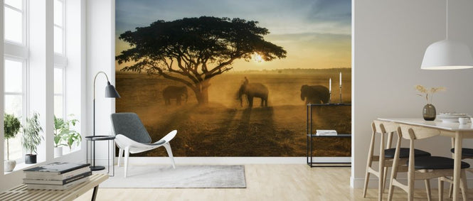 PHOTOWALL / Morning Elephant Home Town (e317778)