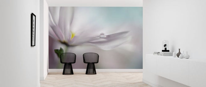 PHOTOWALL / Where Dreams Come True (e317780)