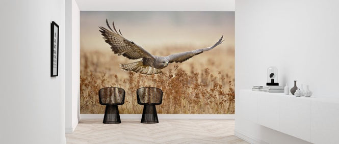 PHOTOWALL / Common Buzzard (e317783)