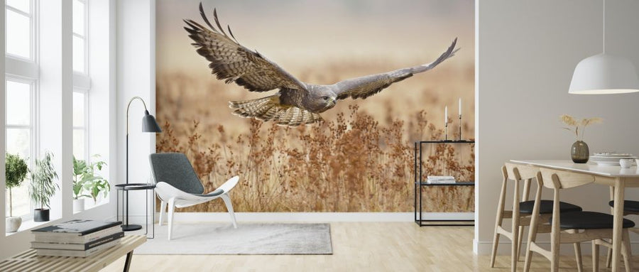 PHOTOWALL / Common Buzzard (e317783)