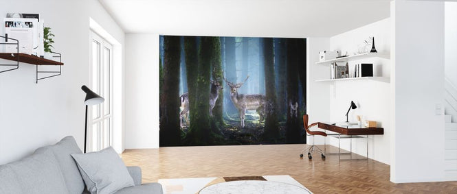 PHOTOWALL / Deers (e317785)