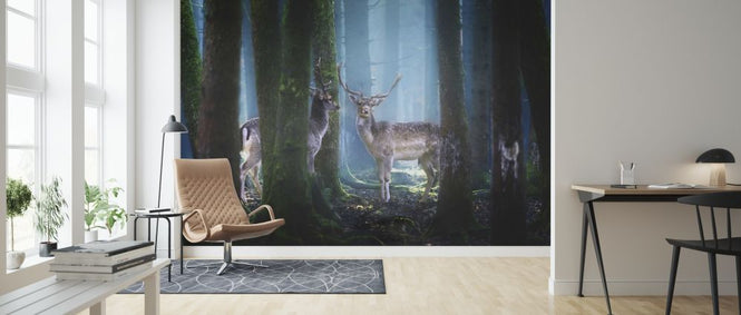 PHOTOWALL / Deers (e317785)