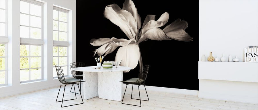 PHOTOWALL / Lily Bulb (e317789)