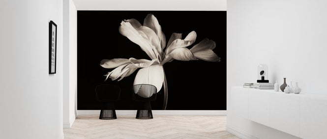 PHOTOWALL / Lily Bulb (e317789)