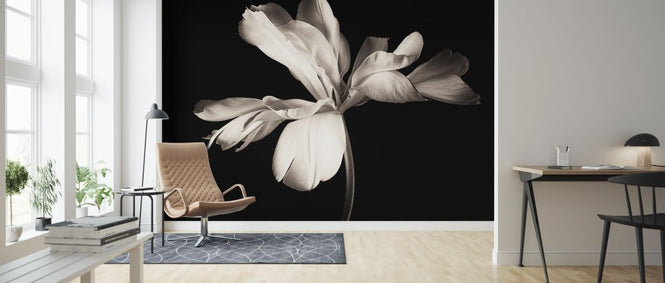 PHOTOWALL / Lily Bulb (e317789)