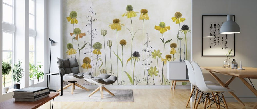 PHOTOWALL / Helenium (e317790)