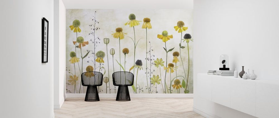 PHOTOWALL / Helenium (e317790)