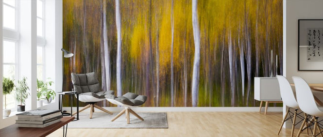 PHOTOWALL / Abstract Fall (e317791)