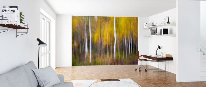 PHOTOWALL / Abstract Fall (e317791)