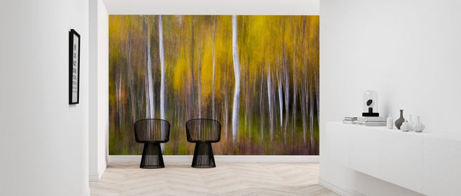 PHOTOWALL / Abstract Fall (e317791)