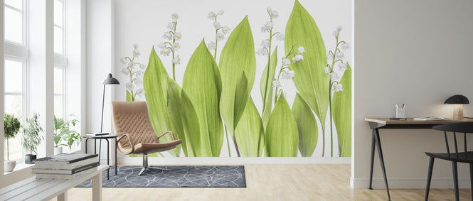 PHOTOWALL / Lily of the Valley (e317793)
