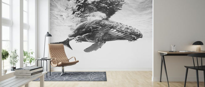 PHOTOWALL / Humpback Whale Calf (e317800)