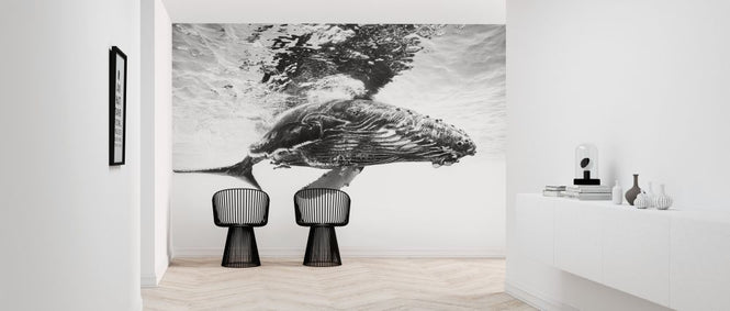 PHOTOWALL / Humpback Whale Calf (e317800)
