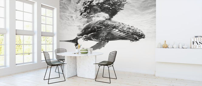 PHOTOWALL / Humpback Whale Calf (e317800)
