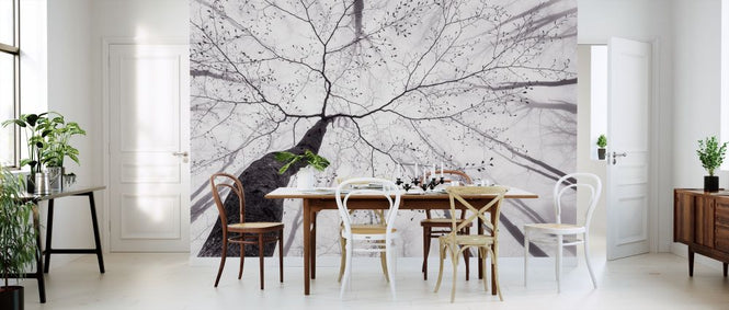 PHOTOWALL / View of the Tree Crown (e317801)