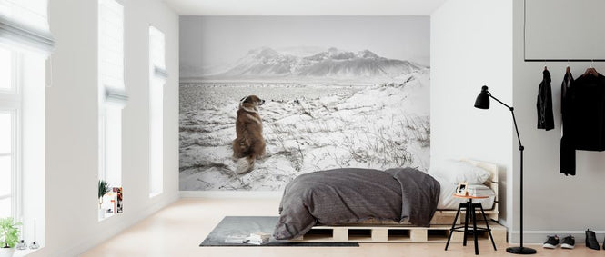 PHOTOWALL / Snowstorm (e317564)