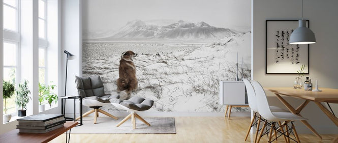 PHOTOWALL / Snowstorm (e317564)