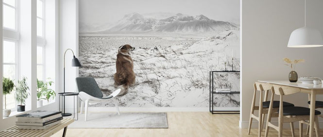 PHOTOWALL / Snowstorm (e317564)