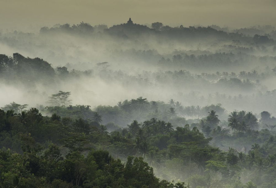 PHOTOWALL / Temple in the Mist (e317568)