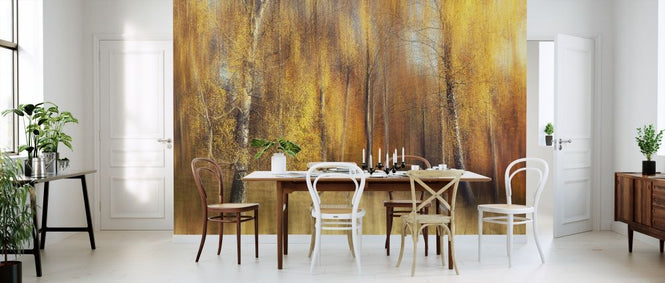 PHOTOWALL / Autumn Birches (e317590)