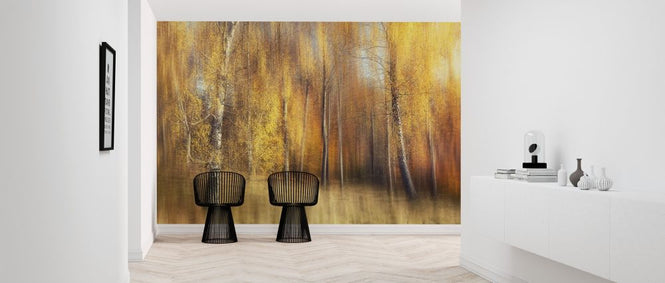 PHOTOWALL / Autumn Birches (e317590)