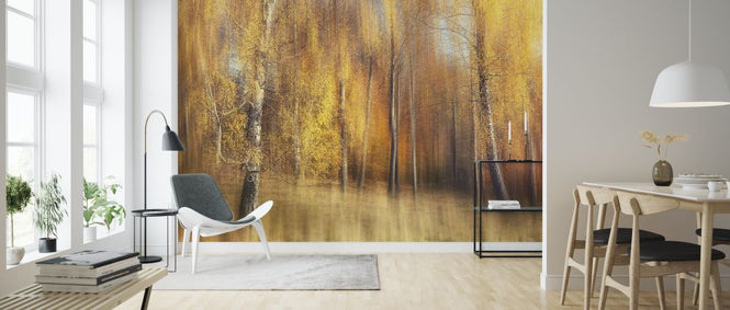 PHOTOWALL / Autumn Birches (e317590)