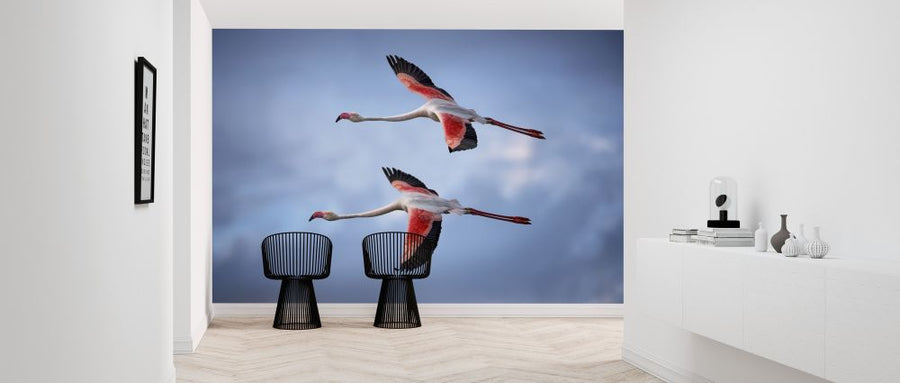 PHOTOWALL / Greater Flamingos (e317594)