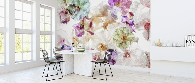 PHOTOWALL / Ghost Orchids (e317601)