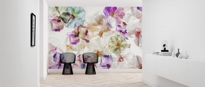 PHOTOWALL / Ghost Orchids (e317601)