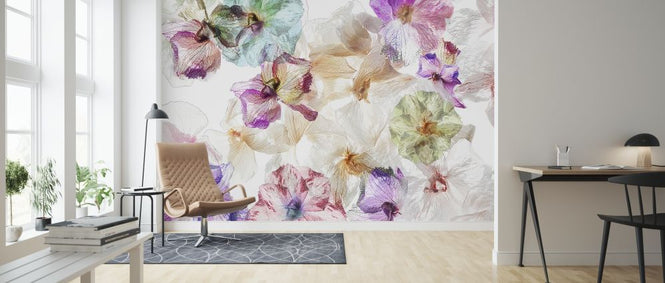 PHOTOWALL / Ghost Orchids (e317601)