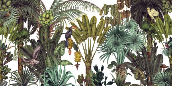 PHOTOWALL / Find the Birds in the Jungle (e318309)