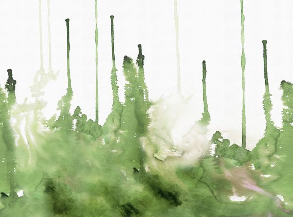 PHOTOWALL / Watercolor Study - Olive (e318659)