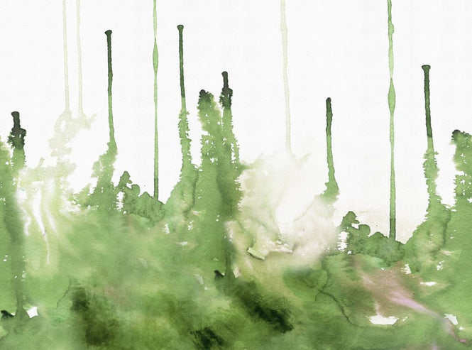 PHOTOWALL / Watercolor Study - Olive (e318659)