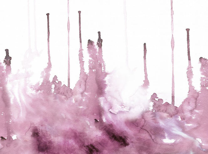 PHOTOWALL / Watercolor Study - Rose (e318660)