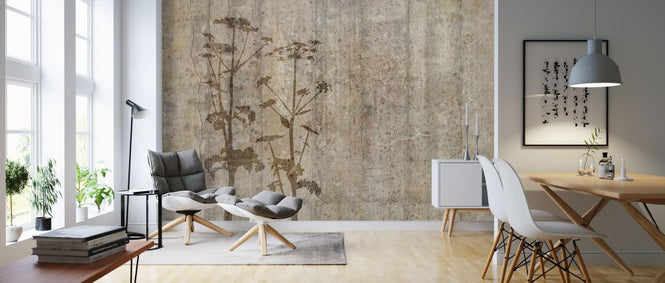 PHOTOWALL / Giant Hogweed with Concrete Wall (e318483)