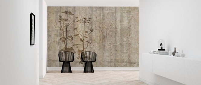 PHOTOWALL / Giant Hogweed with Concrete Wall (e318483)