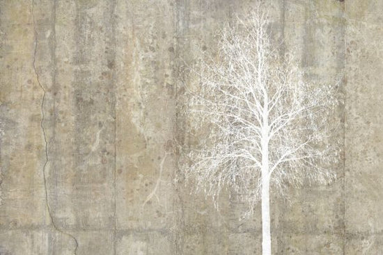 PHOTOWALL / Tree with Concrete Wall (e318492)