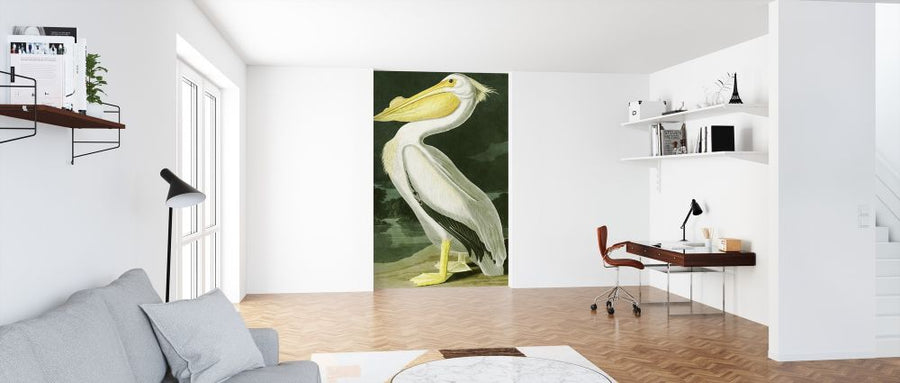 PHOTOWALL / White Pelican - John James Audubon (e318886)