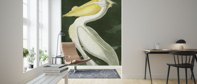 PHOTOWALL / White Pelican - John James Audubon (e318886)