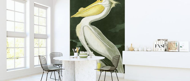 PHOTOWALL / White Pelican - John James Audubon (e318886)