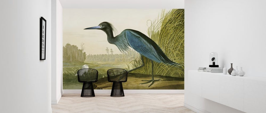 PHOTOWALL / Little Blue Heron - John James Audubon (e318887)