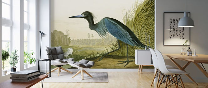 PHOTOWALL / Little Blue Heron - John James Audubon (e318887)