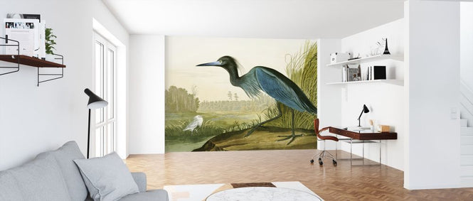 PHOTOWALL / Little Blue Heron - John James Audubon (e318887)