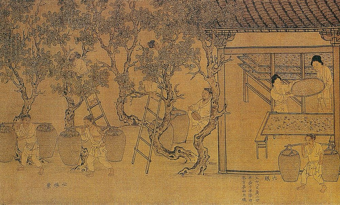 PHOTOWALL / Chinese Workers (e318895)